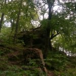 wandern_23 21